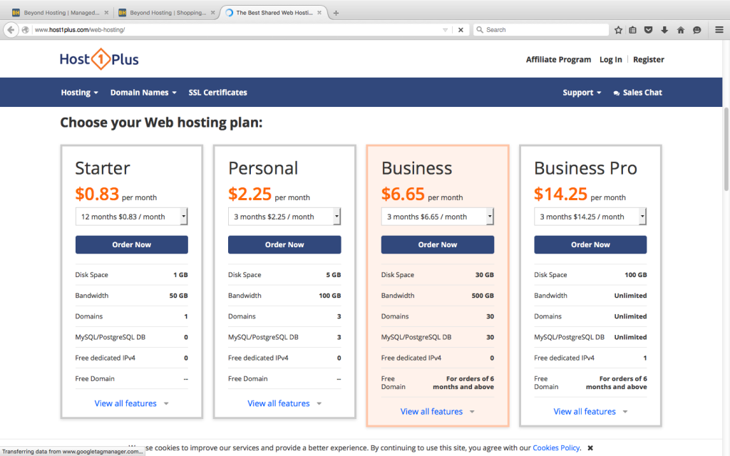 Host1plus Hosting package