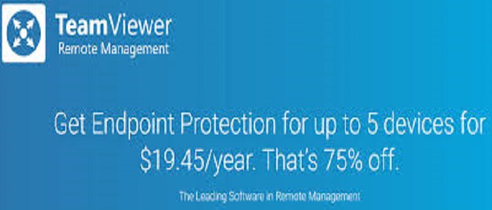 TeamViewer 75% off Coupon