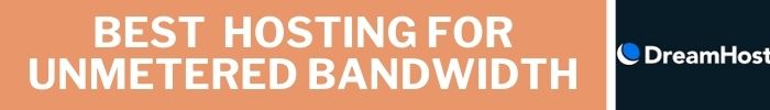 Best Hosting for unmetered bandwidth